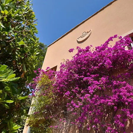 Les Nefliers Vue Panoramique Et A Pied Villa *